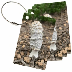 MyFly Personalized Luggage Tags With Metal Loop Upgrade - Only $4.69 Each For 50 Tags -Victorinox Shop MyFly Personalized Luggage Tags with Metal Loop Upgrade Only 4 69 each for 50 tags 6