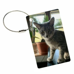 MyFly Tag Personalized Luggage Tags With Metal Loop Upgrade -Victorinox Shop MyFly Tag Personalized Luggage Tags with Metal Loop Upgrade 3